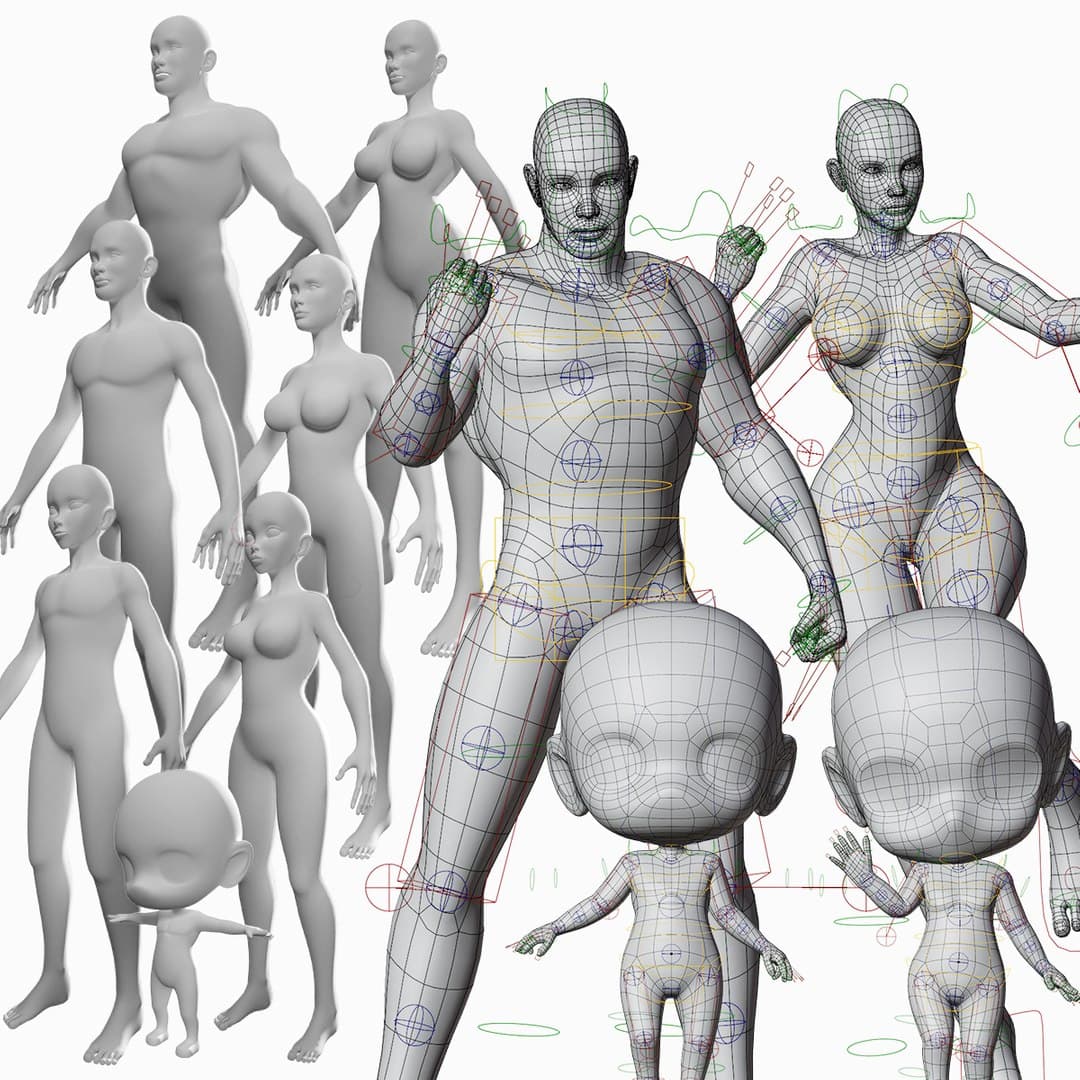 Human base meshes collection with rigs